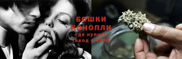 амф Богородицк