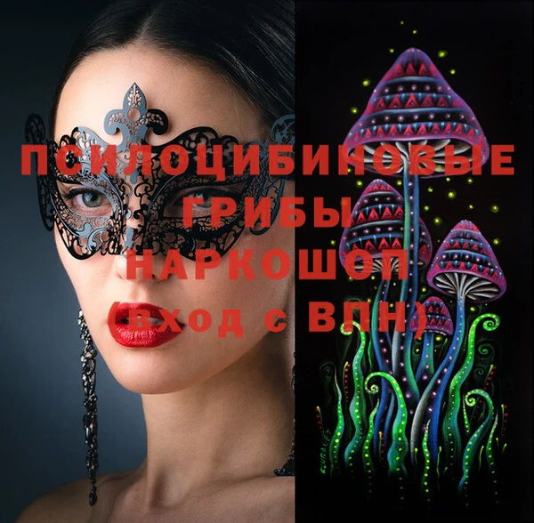 метадон Богданович