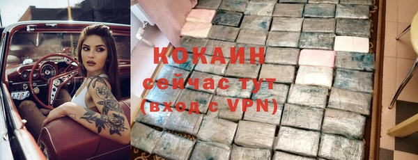 бошки Верея