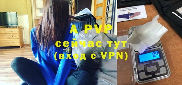 шишки Верхний Тагил